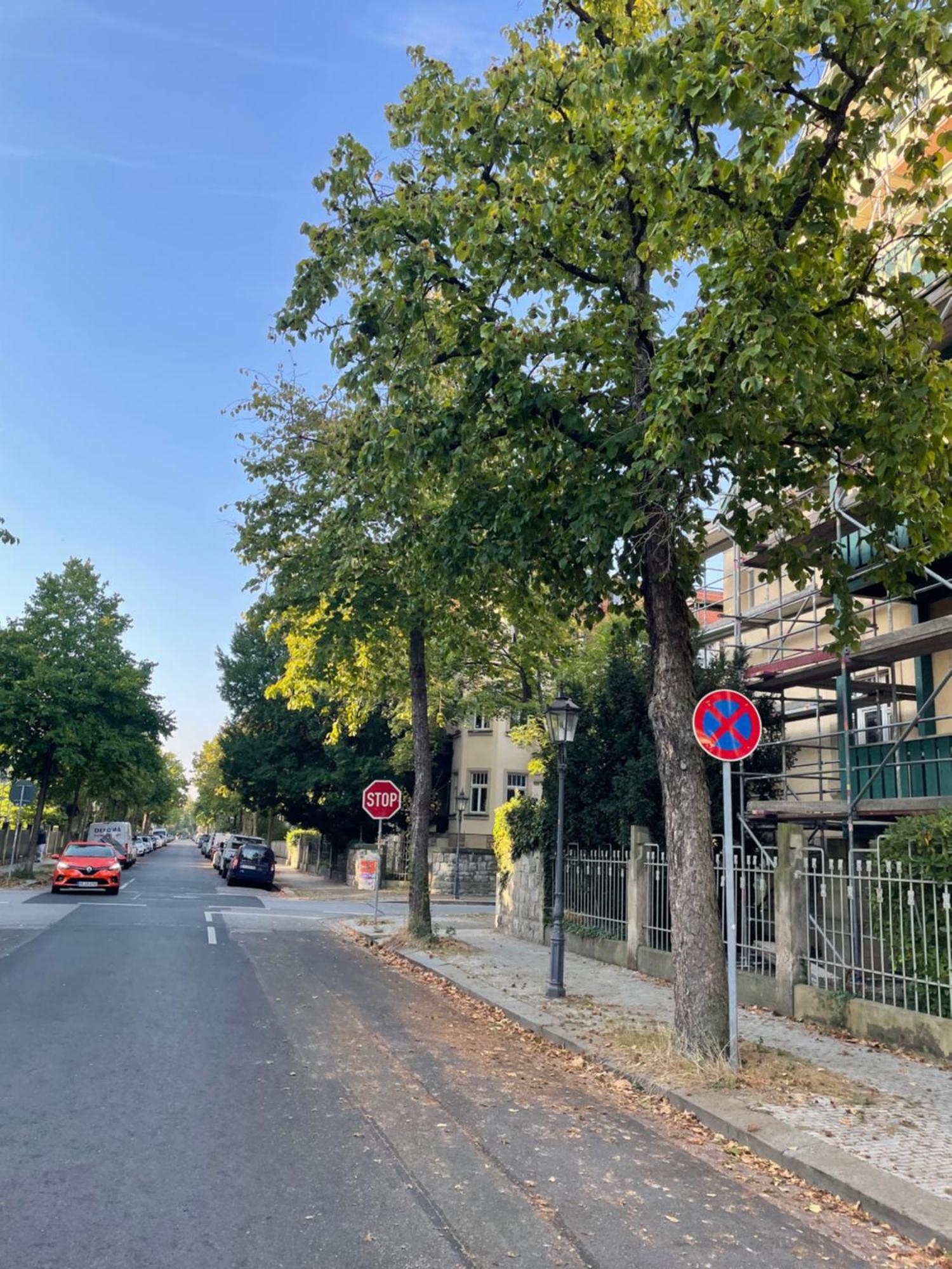 Toni Charming Apartment Im Idyllischem Villenviertel Mit Netflix Dresden Dış mekan fotoğraf